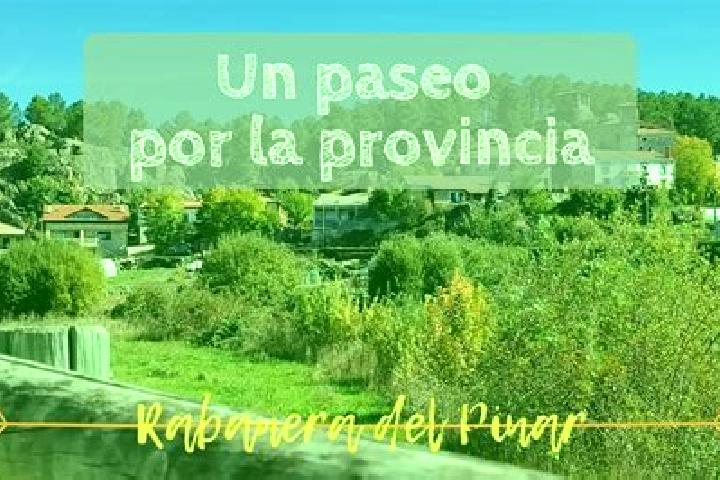 Avery, 24 — Escort in Rabanera del Pinar, Spain