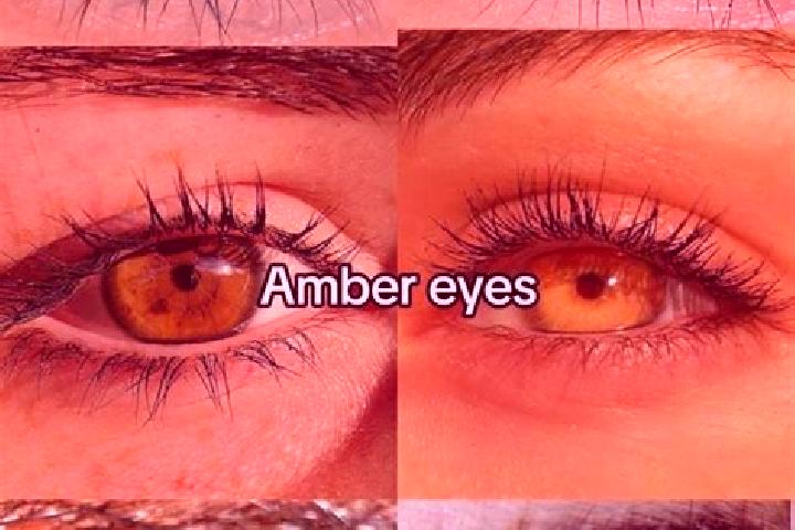Avery, 25, a chestnut amber-eyed mediterranean companion based in Leigh-on-Sea. Offering Deep French Kissing, Dinner Date, Travel Companion, BDSM, 69. Availa...