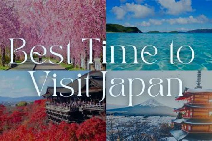 Avery, 25 — Escort in Shimonakatsukawa, Japan