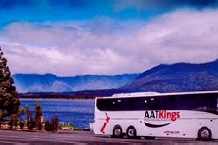 Avery, 25 — Escort in Three Kings, New Zealand