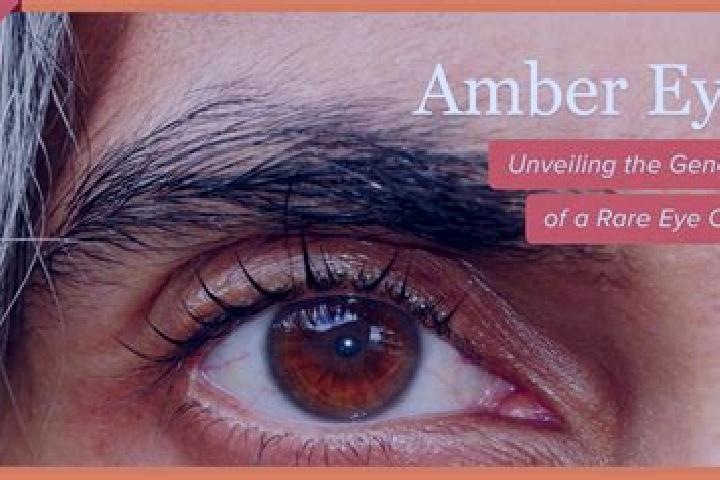 Avery, 26, a red amber-eyed slavic companion based in Ha il. Offering OWO, GFE, Prostate Massage. Available for incall and outcall, day and evening dates.