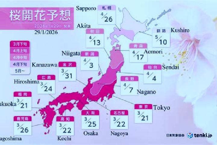 Avery, 26 — Escort in Kushiro, Japan