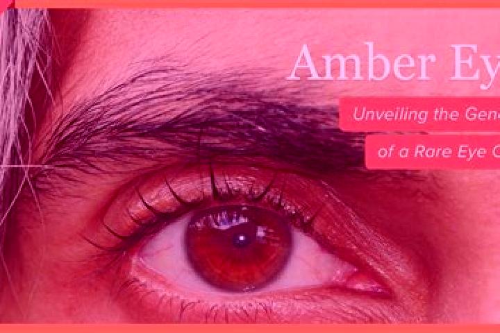 Avery, 27, a red amber-eyed ebony companion based in Nangis. Offering Massage, GFE, Couples. Available for incall and outcall, day and evening dates.