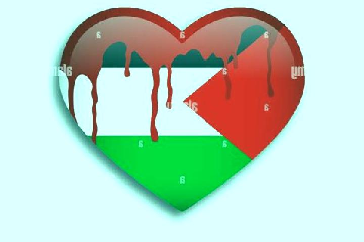 Avery, 27 — Escort in Birqin, Palestine