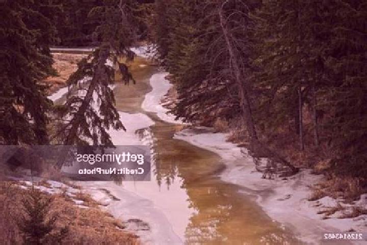 Avery, 28 — Escort in Blackmud Creek, Canada