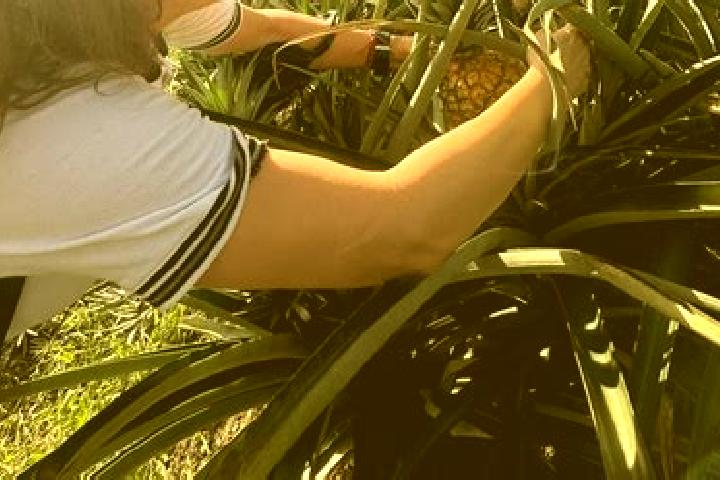 Avery, 28 — Escort in Nopalucan, Mexico