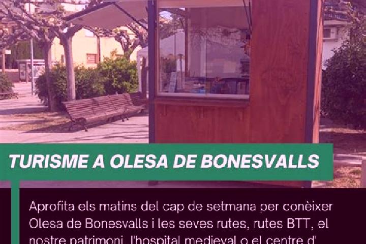 Avery, 28 — Escort in Olesa de Bonesvalls, Spain