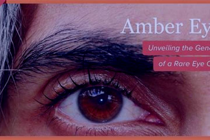 Avery, 29, a red amber-eyed caribbean companion based in Kangundo. Offering Travel Companion, Dinner Date, Deep French Kissing. Available for incall and outc...