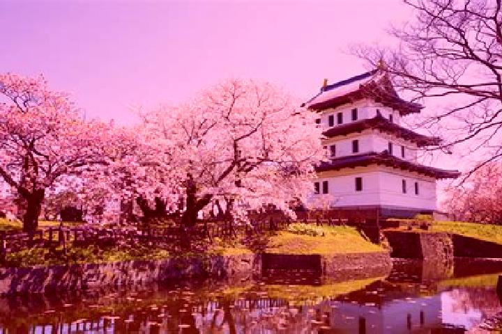 Avery, 29 — Escort in Matsumae, Japan