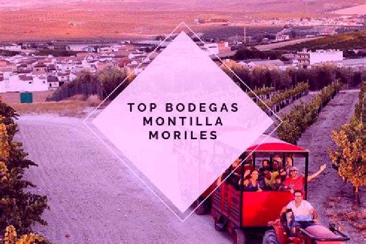 Avery, 29 — Escort in Moriles, Spain