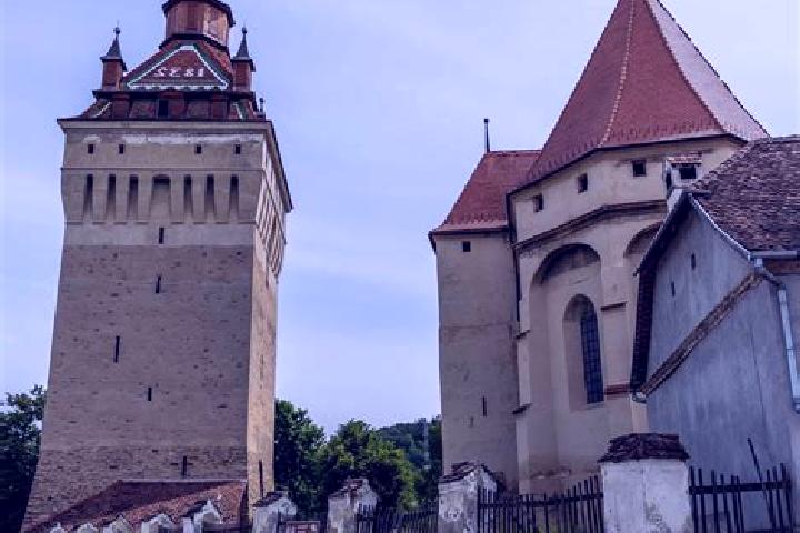 Avery, 29 — Escort in Saschiz, Romania