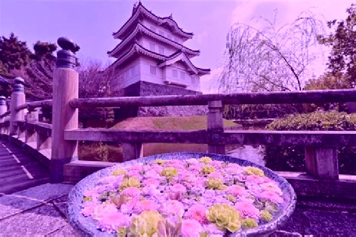 Avery, 30 — Escort in Gyoda, Japan