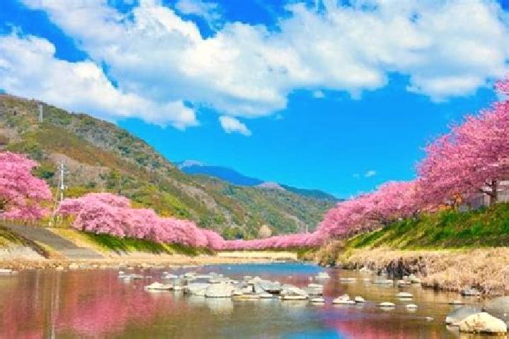 Avery, 30 — Escort in Kawazu-ikadaba, Japan