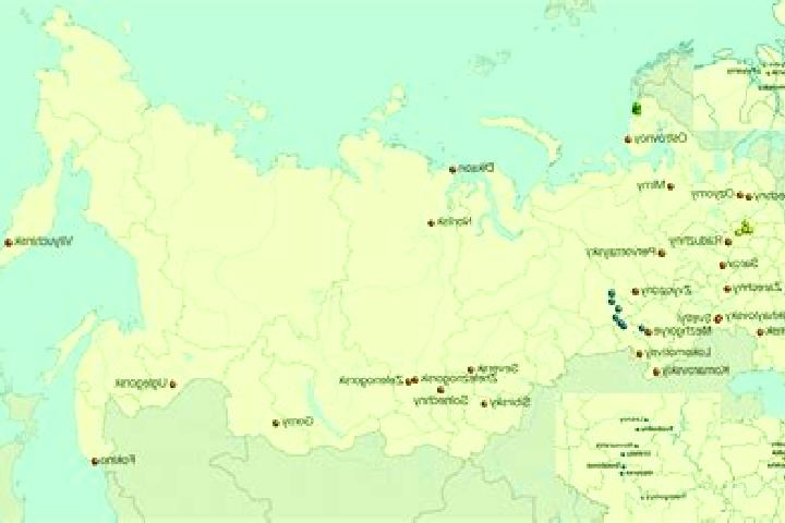 Avery, 30 — Escort in Kharlu, Russia