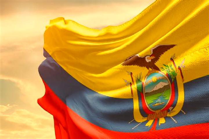 Avery, 30 — Escort in Picoaza, Ecuador