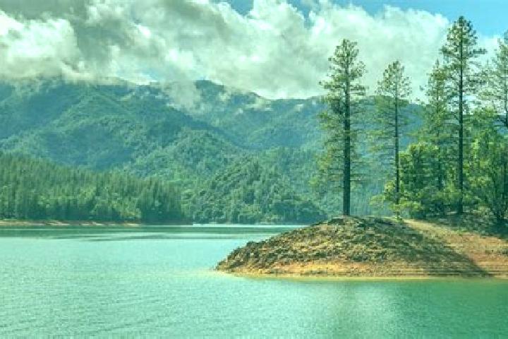 Avery, 30 — Escort in Shasta Lake, United States
