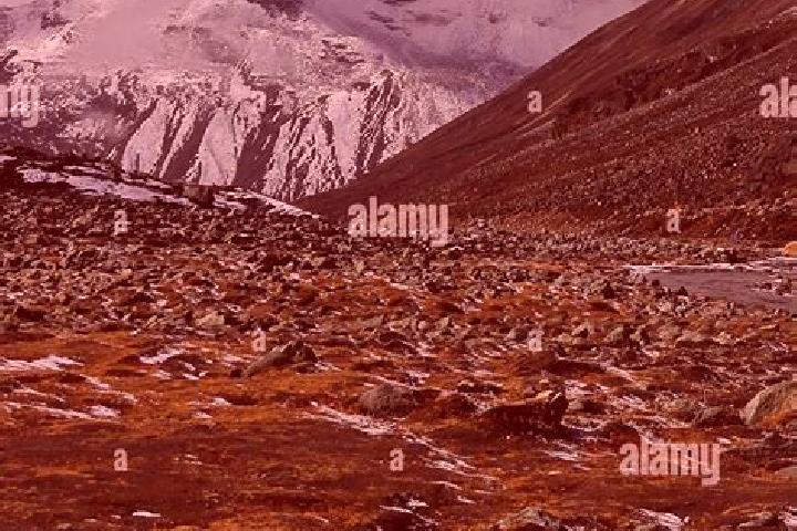 Avery, 30 — Escort in Tundra, India