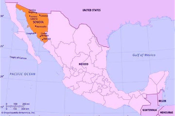 Avery, 31 — Escort in Agua Senora, Mexico