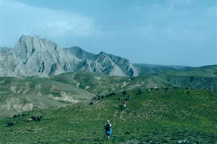 Avery, 31 — Escort in Burchmulla, Uzbekistan