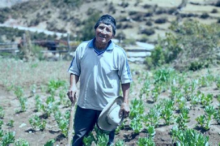 Avery, 31 — Escort in Jarpa, Peru