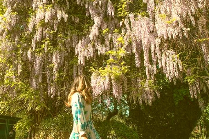 Avery, 31 — Escort in Schitu Scoicesti, Romania