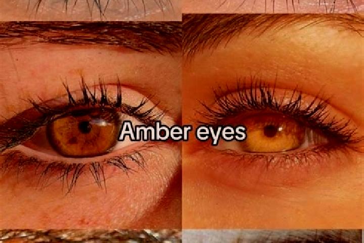 Avery, 32, a chestnut amber-eyed asian companion based in Chatham. Offering Tantra, Domination, 69. Available for incall and outcall, day and evening dates.