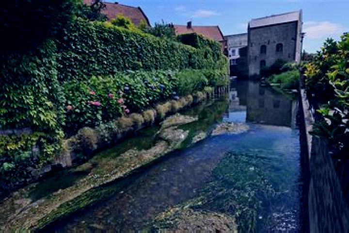 Avery, 32 — Escort in Fauquembergues, France