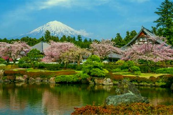 Avery, 32 — Escort in Shizuoka, Japan