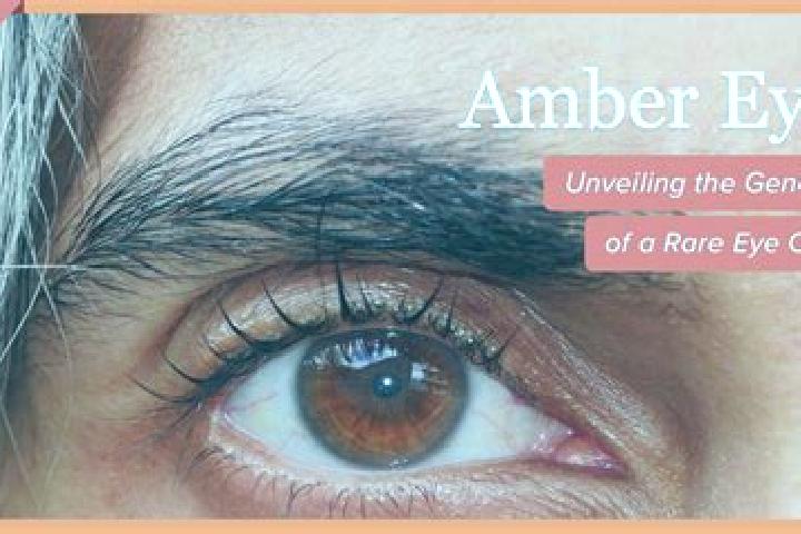 Avery, 33, a red amber-eyed middle eastern companion based in Tamboril do Piaui. Offering GFE, Prostate Massage. Available for incall and outcall, overnight ...