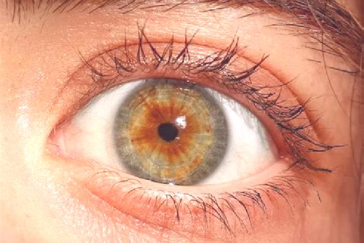 Avery, 33, a red hazel-eyed middle eastern companion based in Casarrubuelos. Offering 69, CIM, A-Level, Couples. Available for incall and outcall, overnight ...