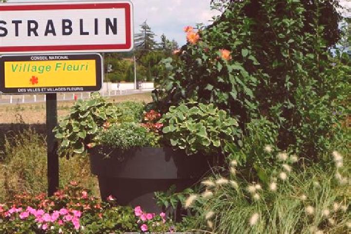 Avery, 33 — Escort in Estrablin, France