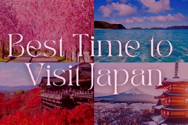 Avery, 33 — Escort in Kawasugaya, Japan