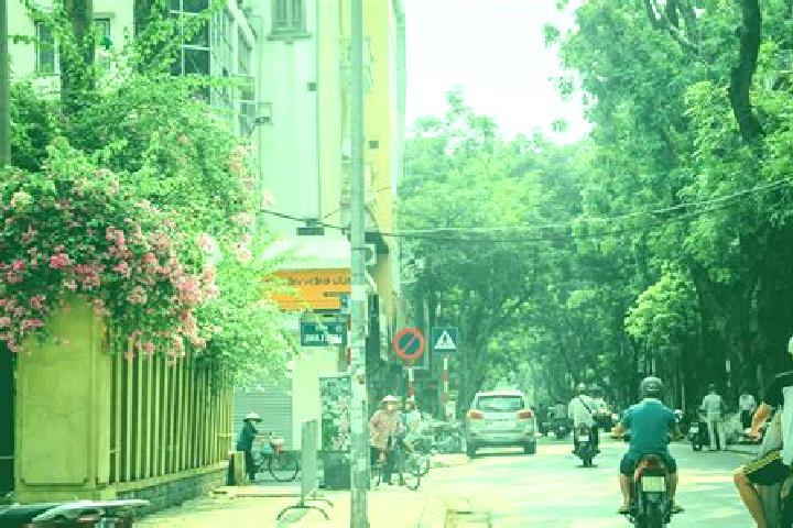 Avery, 33 — Escort in Na Meo, Vietnam