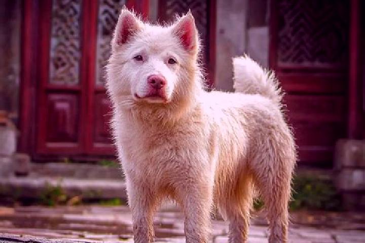 Avery, 33 — Escort in Xiasi, China