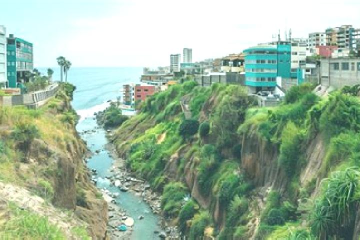 Avery, 34 — Escort in La Lima, Mexico