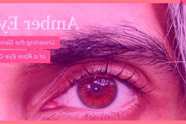 Avery, 35, a black amber-eyed middle eastern companion based in Shido. Offering Dinner Date, Massage, Roleplay, GFE. Available for incall and outcall, day an...