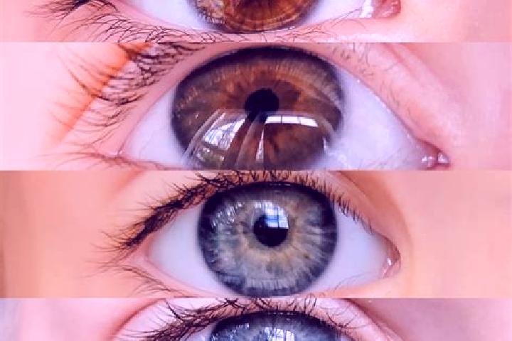 Avery, 35, a chestnut grey-eyed middle eastern companion based in Petessou. Offering Couples, Duos, Roleplay. Available for incall and outcall, overnight boo...
