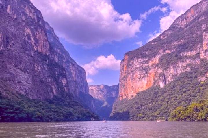 Avery, 35 — Escort in Chicoasen, Mexico