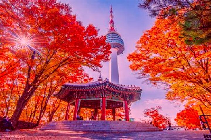 Avery, 35 — Escort in Namsan, North Korea
