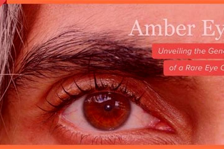 Avery, 36, a black amber-eyed latina companion based in Klempun. Offering Deep French Kissing, Massage, Duos, OWO, GFE. Available for incall and outcall, day...