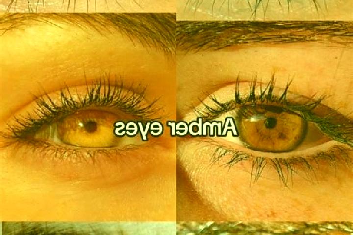 Avery, 36, a chestnut amber-eyed caucasian companion based in Khymchyn. Offering Domination, 69, Prostate Massage. Available for incall and outcall, overnigh...