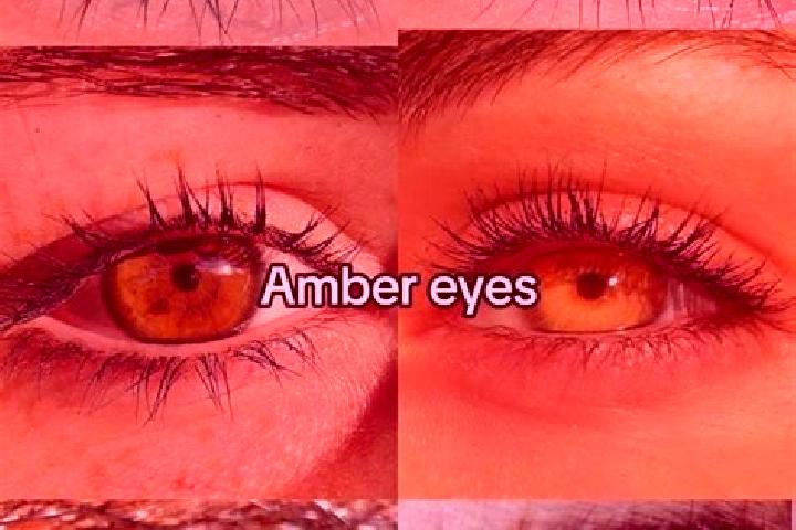 Avery, 36, a chestnut amber-eyed ebony companion based in Barra do Chapeu. Offering Girlfriend Experience, Dinner Date. Available for incall and outcall, ove...