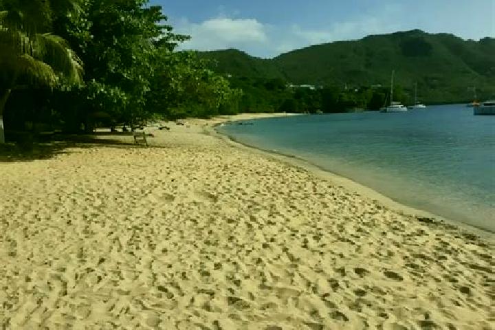 Avery, 36 — Escort in New Montrose, Saint Vincent and the Grenadines
