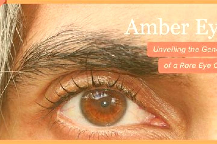 Avery, 37, a black amber-eyed latina companion based in Surberg. Offering Couples, Tantra, A-Level, Striptease. Available for incall and outcall, overnight b...