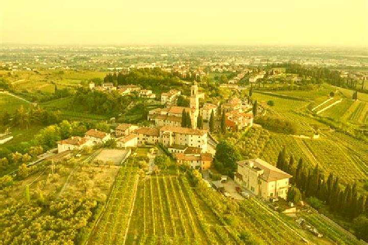 Avery, 37 — Escort in Cairano, Italy