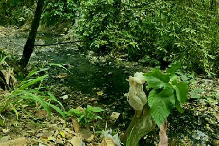 Avery, 37 — Escort in Hato de la Higuera, Mexico