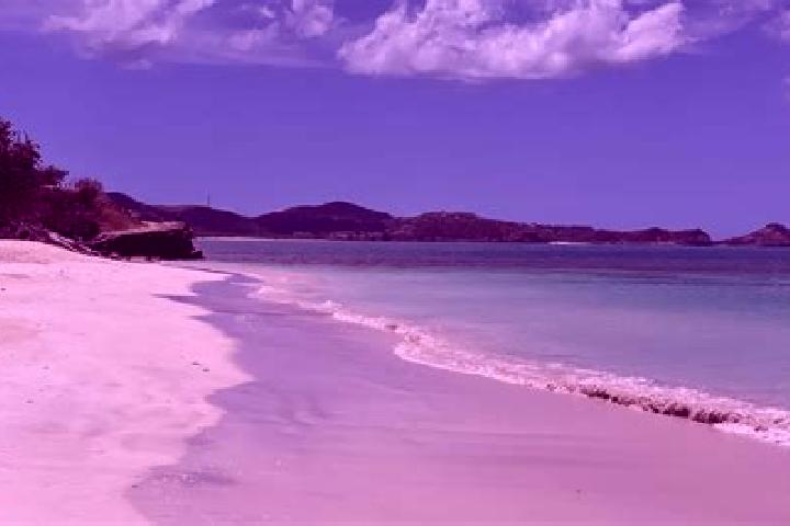 Avery, 37 — Escort in Jacks Hill, Antigua and Barbuda