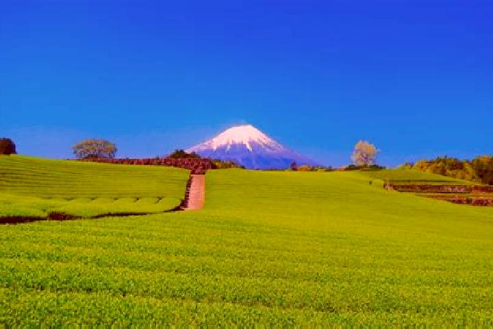 Avery, 37 — Escort in Obuchi, Japan