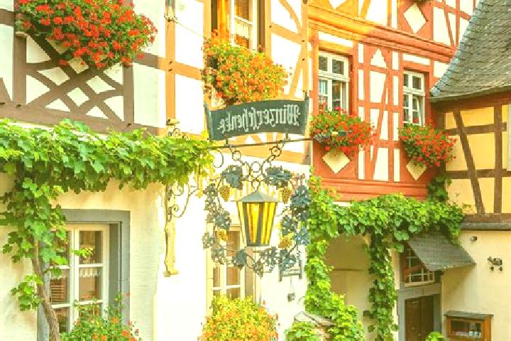 Avery, 37 — Escort in Schonermark, Germany