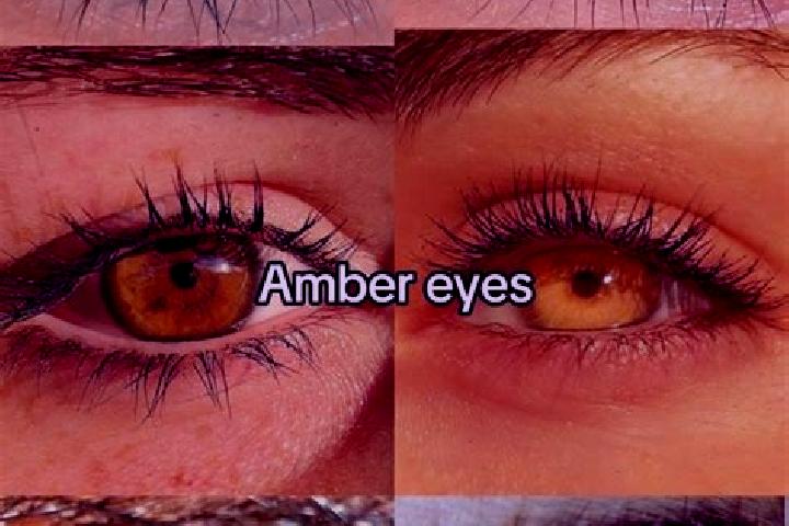 Avery, 38, a brunette amber-eyed middle eastern companion based in Langnau / Langnau (Dorf). Offering Duos, 69. Available for incall and outcall, day and eve...